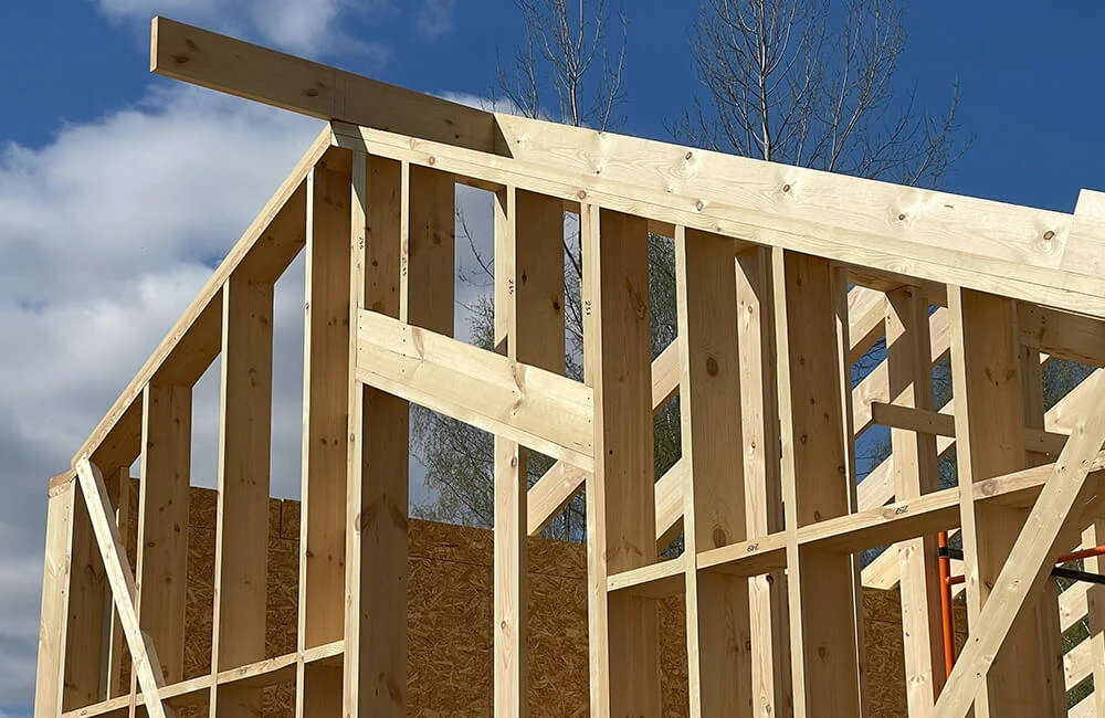 Это не просто каркасники