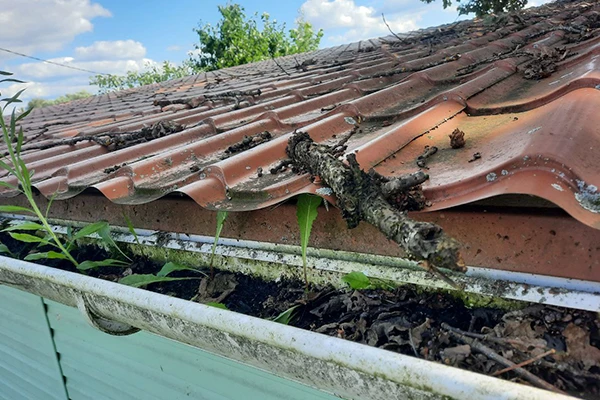 Почему на крышах и водостоках образуются сосульки