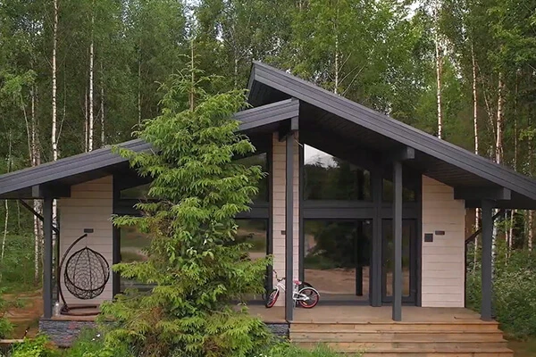 Ненавязчивая асимметрия ПИКАССО