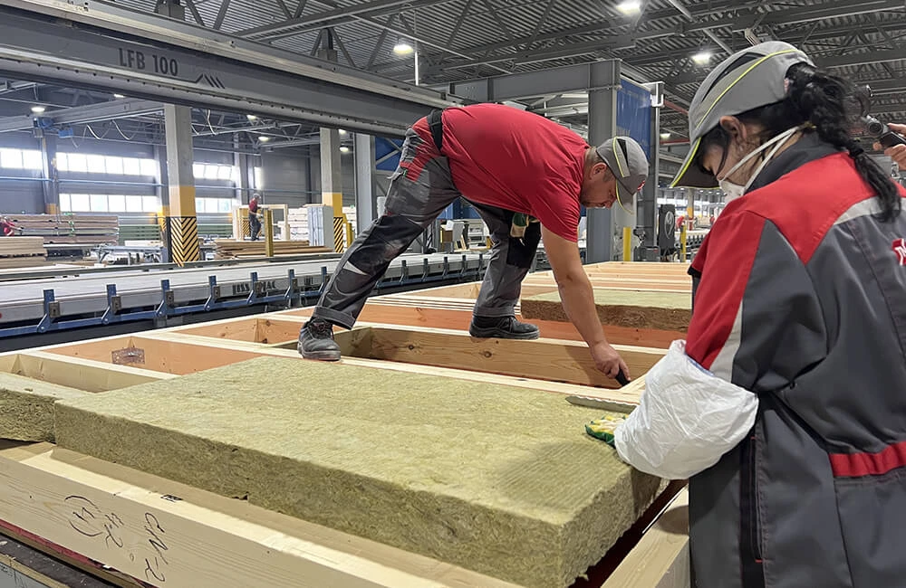 Мифы и реальность панельно-каркасного домостроения