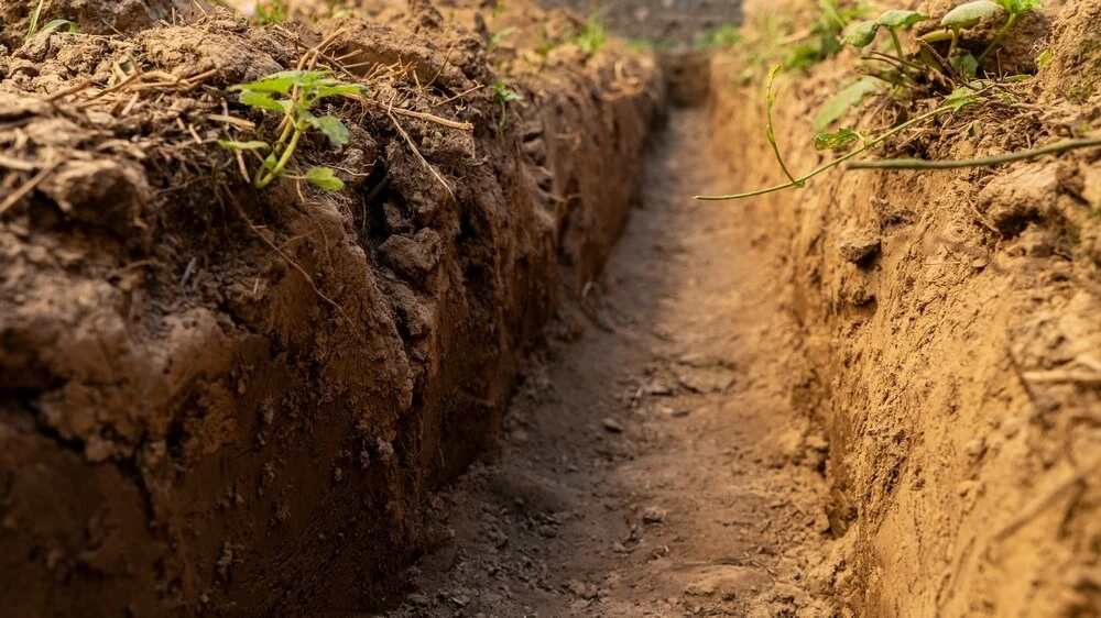 Какой фундамент лучше для каркасного дома?