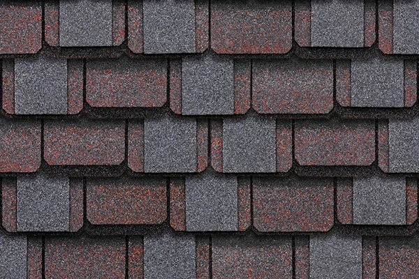 Коллекция «Континент»