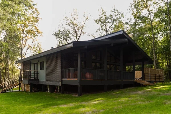 Ненавязчивая асимметрия ПИКАССО