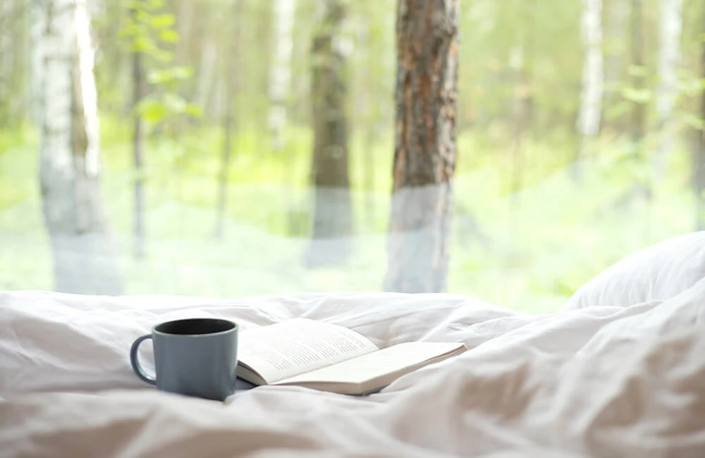 Как построить глэмпинг, привлечь туристов, и сколько на этом можно заработать?