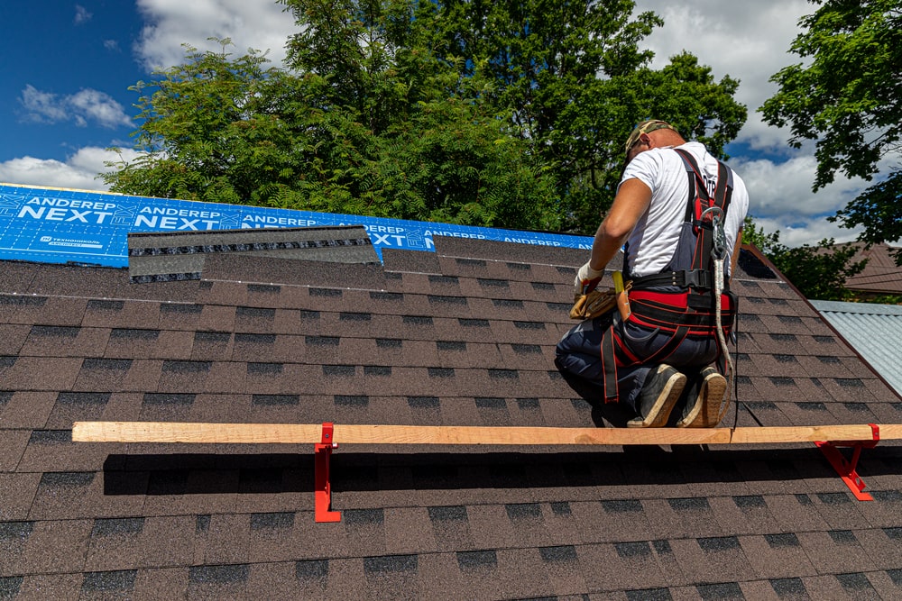 SOK_3500 (2)-min.jpg